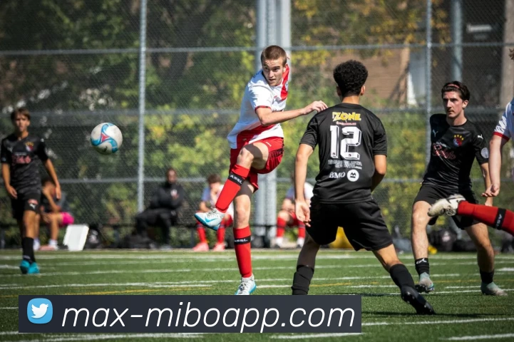 米博体育APP 封面图